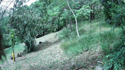 588-20260705125924-51.jpg