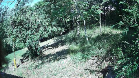 833-20260707100237-11.jpg