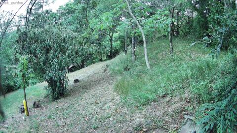 859-20260708063135-18.jpg