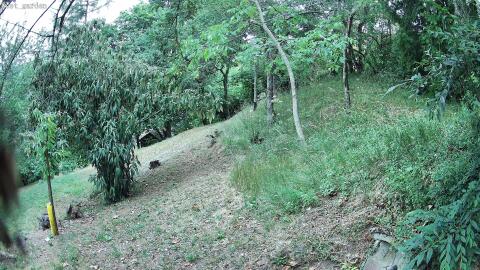 871-20260708080830-00.jpg