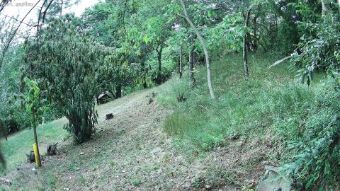 932-20260708165651-04.jpg