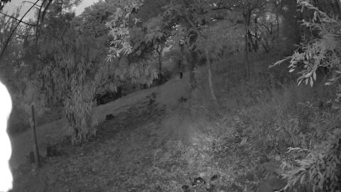 1019-20260709045507-04.jpg