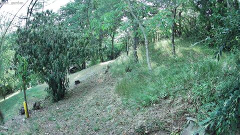 1112-20260709190557-02.jpg