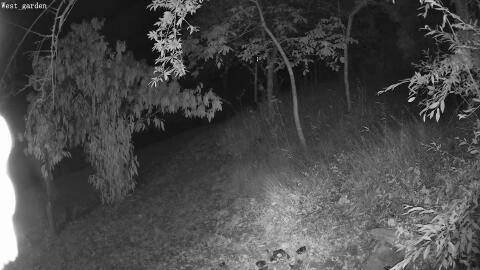 1165-20260710032931-09.jpg