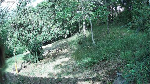 1204-20260710092407-10.jpg