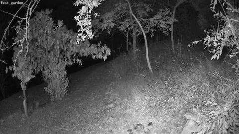 1291-20260711014147-36.jpg