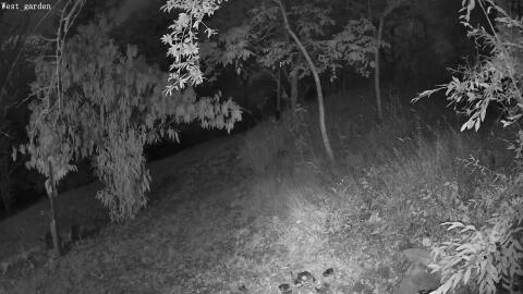 1308-20260711043826-14.jpg