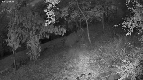 1309-20260711044423-13.jpg