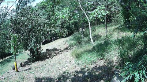1341-20260711125848-06.jpg