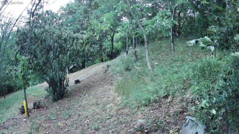 1386-20260711205004-02.jpg