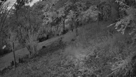 1390-20260711210646-23.jpg