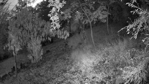 1401-20260711232428-20.jpg