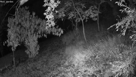 1407-20260712004854-11.jpg