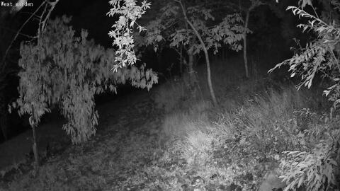 1410-20260712014445-00.jpg