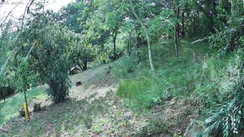 207-20260714174702-16.jpg