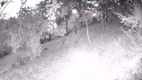 1431-20260908195204-00.jpg