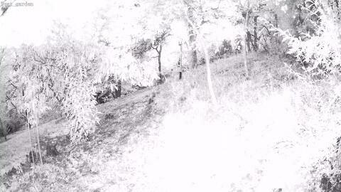 107-20260912194505-02.jpg