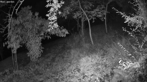 128-20260913015307-17.jpg