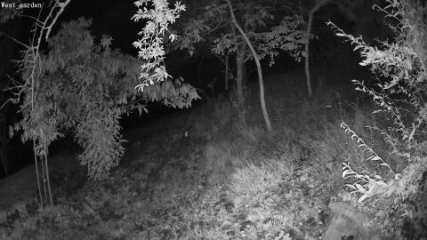 55-20260915002836-03.jpg
