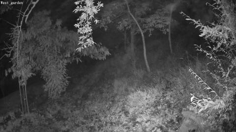 97-20260915054815-20.jpg
