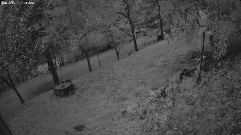 1371-20260415200707-02.jpg
