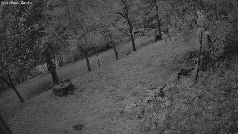 1371-20260415200708-06.jpg