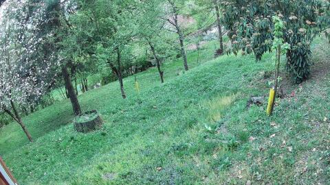 1457-20260416192256-04.jpg