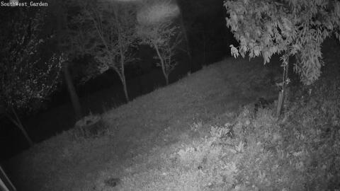 1514-20260417001526-02.jpg