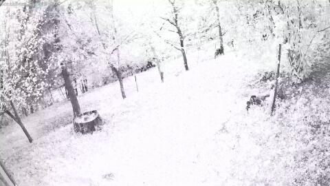 1594-20260418201243-15.jpg