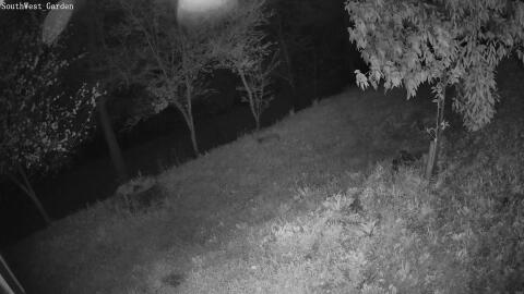 1716-20260419044332-06.jpg