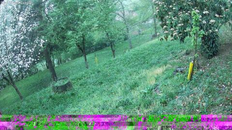1773-20260420060953-31.jpg