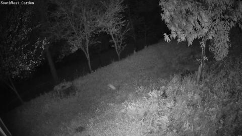 2012-20260422211932-07.jpg