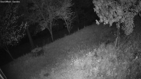 2568-20260426050117-12.jpg