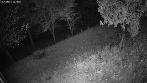 2657-20260427044254-17.jpg