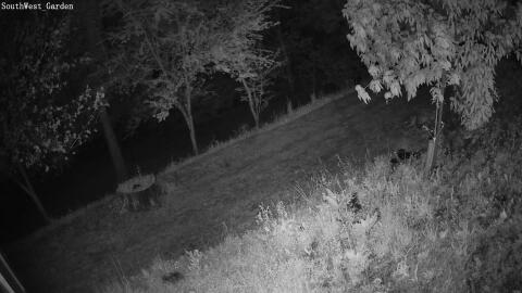 2958-20260429041042-07.jpg