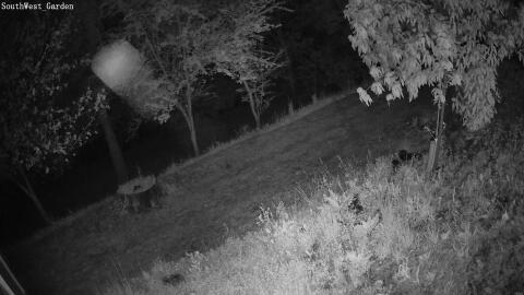 2965-20260429044410-18.jpg