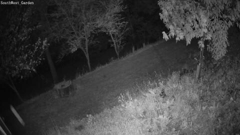 28-20260430210931-03.jpg