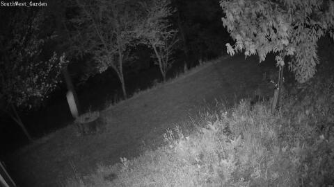 167-20260501214234-39.jpg