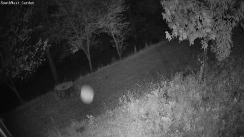 405-20260503032024-16.jpg