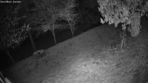 709-20260505040356-05.jpg