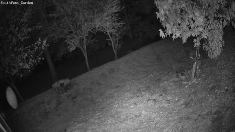 731-20260506014338-16.jpg