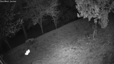 878-20260507213932-23.jpg
