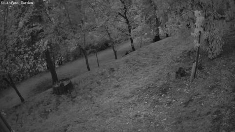 1108-20260509203919-04.jpg