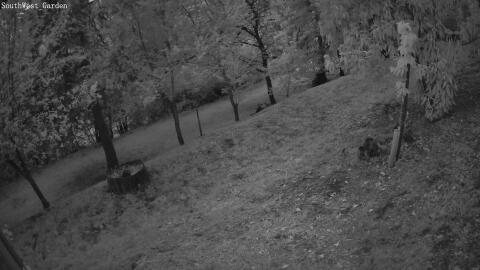1108-20260509203922-15.jpg
