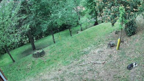 1208-20260510111146-00.jpg