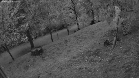 1215-20260510203506-11.jpg