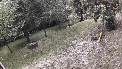 1296-20260511054845-06.jpg