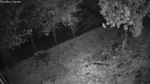 1327-20260511230324-16.jpg