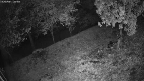 1342-20260512003649-06.jpg