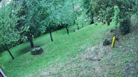 1382-20260512053504-19.jpg